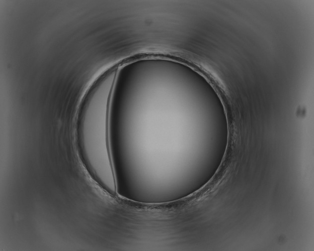 X0000091690976200708231127