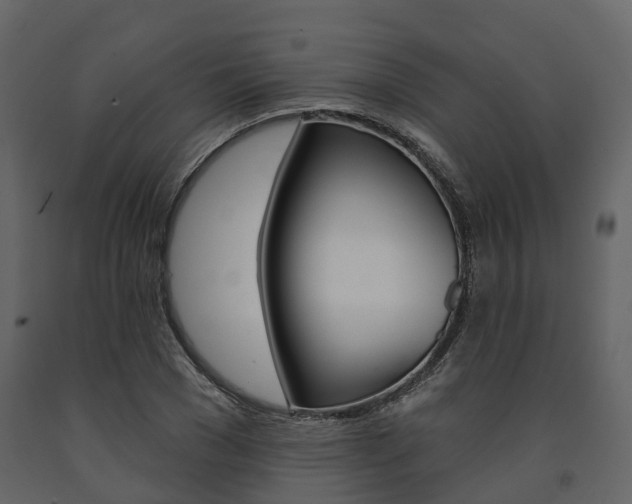 X0000091690977200708231127