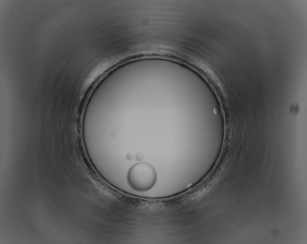 X0000091690978200708231127