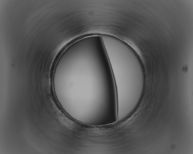 X0000091690980200708231126