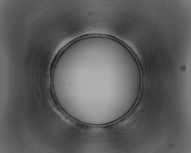 X0000091690982200708231126