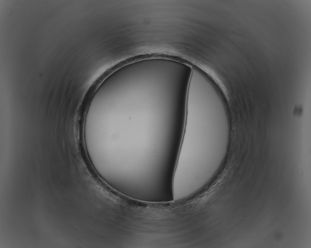 X0000091690983200708231126