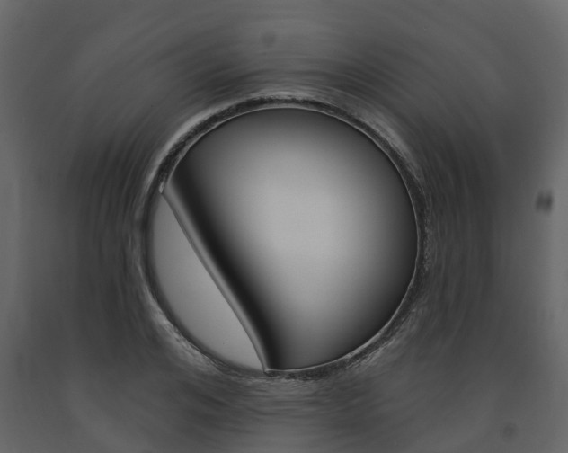 X0000091690984200708231126