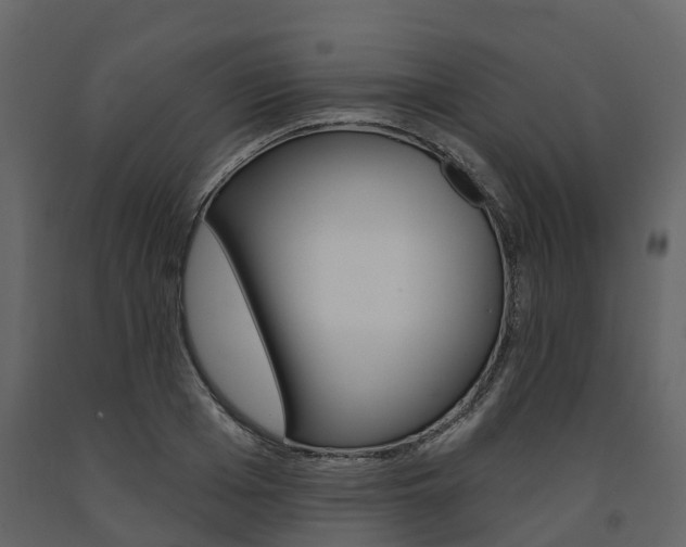 X0000091690985200708231126