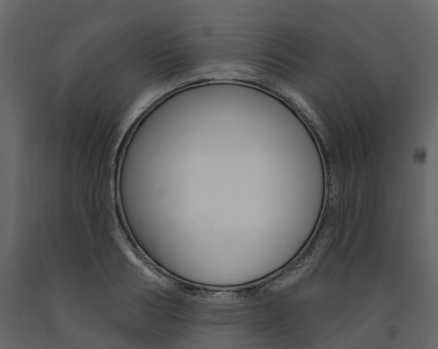 X0000091690986200708231126