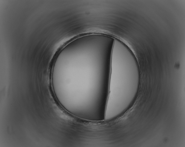 X0000091690987200708231126