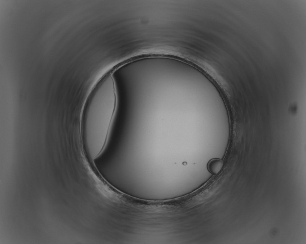 X0000091690988200708231126