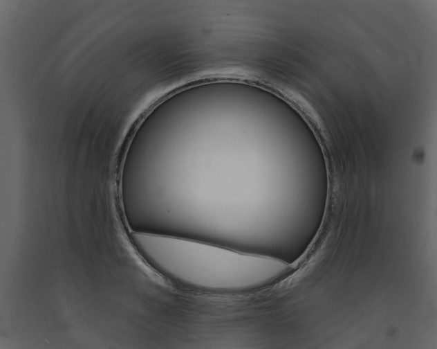 X0000091690989200708231126