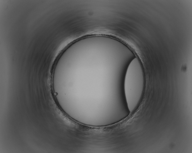 X0000091690990200708231126