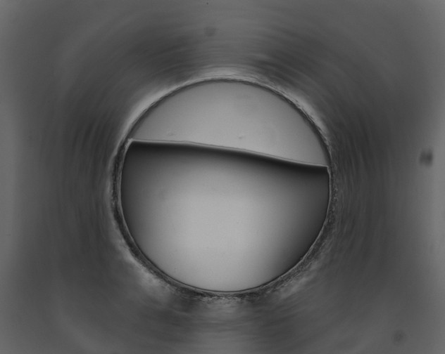 X0000091690991200708231126