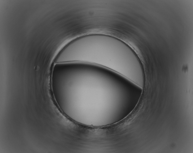 X0000091690992200708231126
