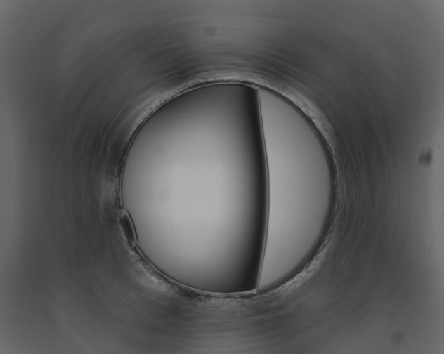 X0000091690993200708231126