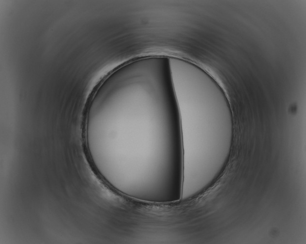 X0000091690995200708231126