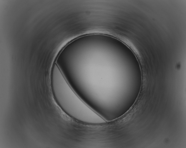 X0000091690996200708231126