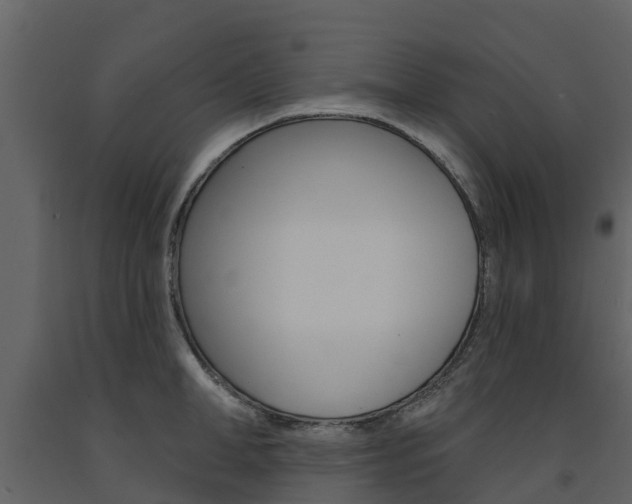X0000091690998200708231126