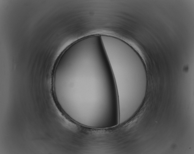 X0000091690999200708231126