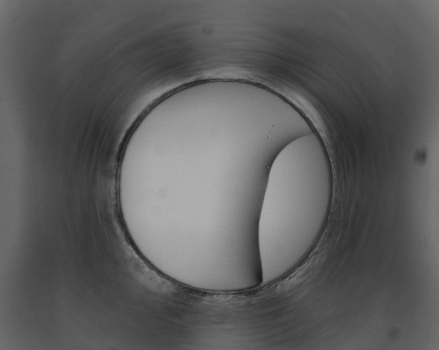 X0000091691000200708231126