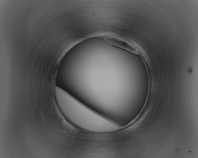 X0000091691001200708231126