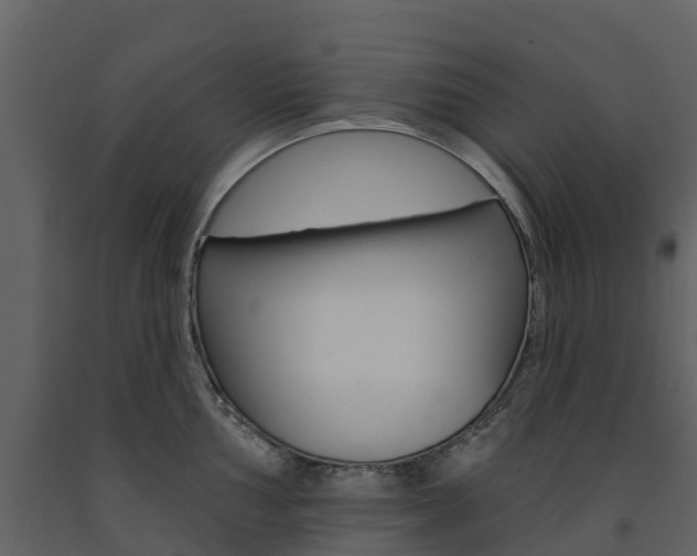 X0000091691002200708231126
