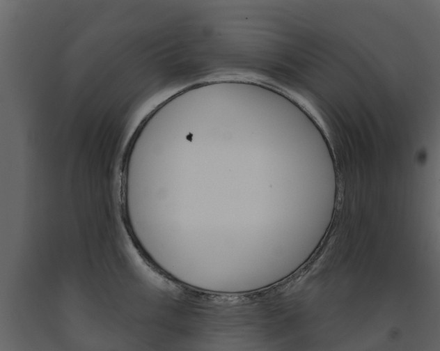 X0000091691003200708231126