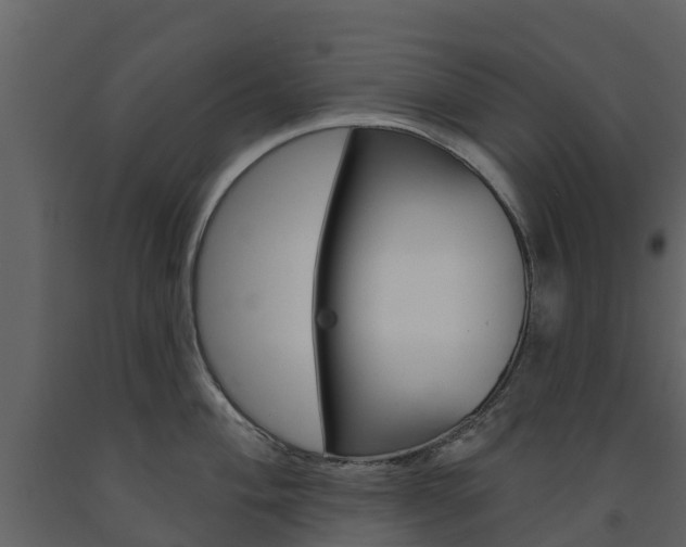 X0000091691004200708231126