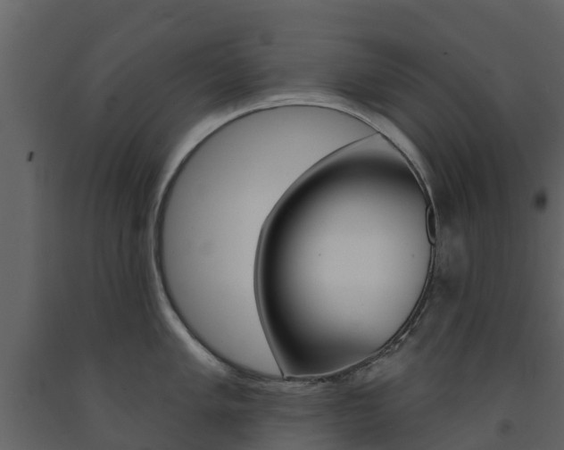 X0000091691005200708231126