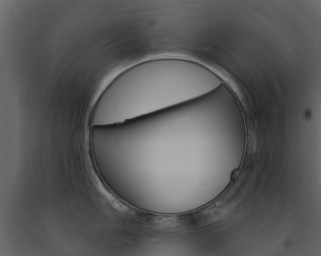 X0000091691006200708231126