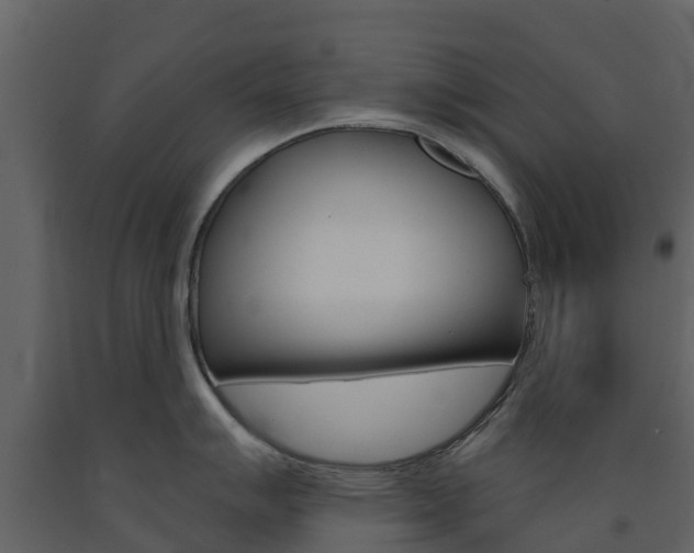 X0000091691007200708231126