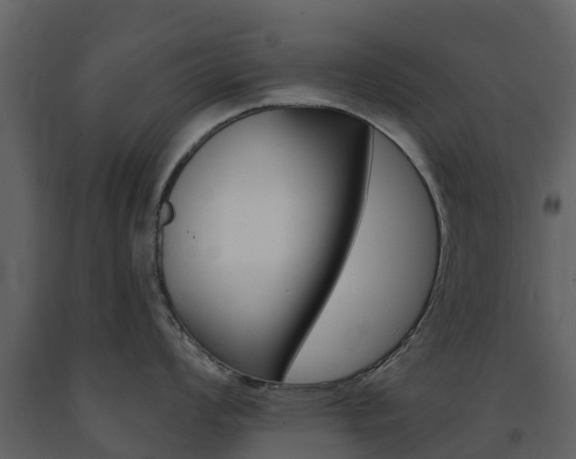X0000091691008200708231126