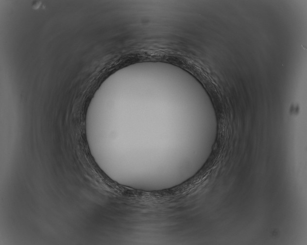 X0000091691009200708231125