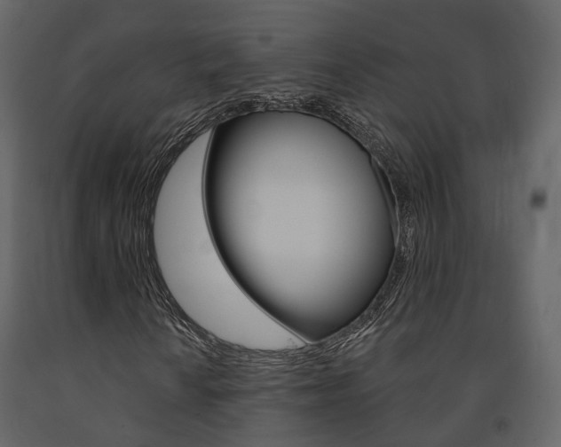 X0000091691010200708231125