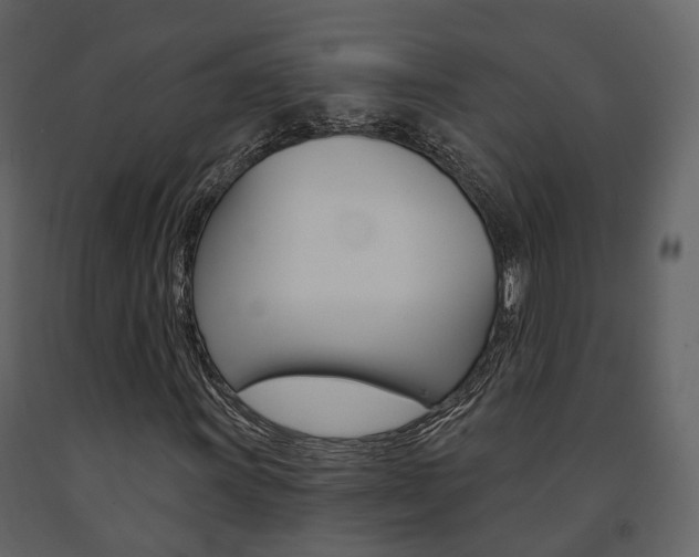 X0000091691011200708231125