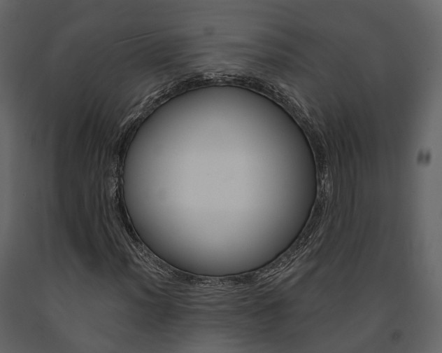 X0000091691012200708231125