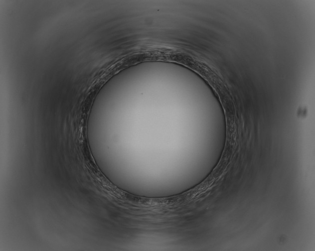 X0000091691013200708231126