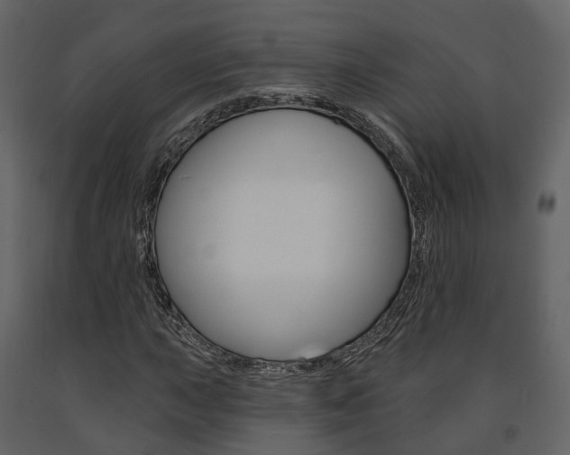X0000091691015200708231126