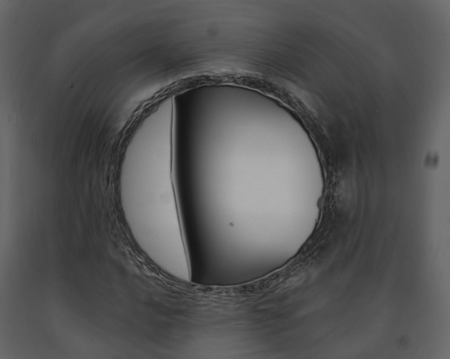 X0000091691016200708231126
