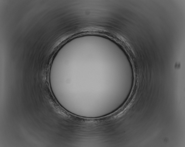 X0000091691017200708231126