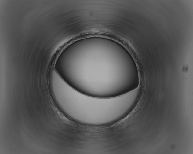 X0000091691018200708231126