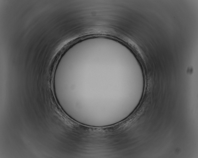 X0000091691019200708231126