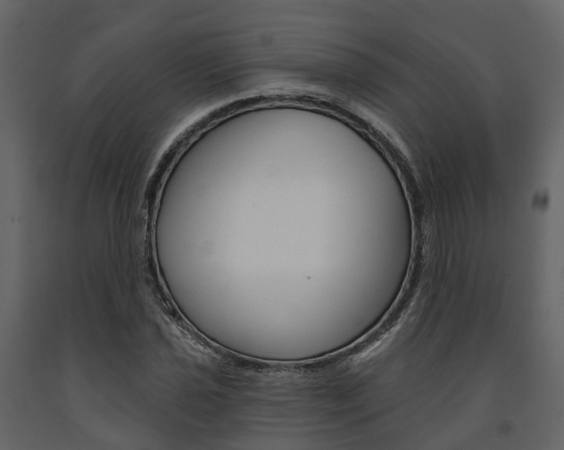 X0000091691021200708231126