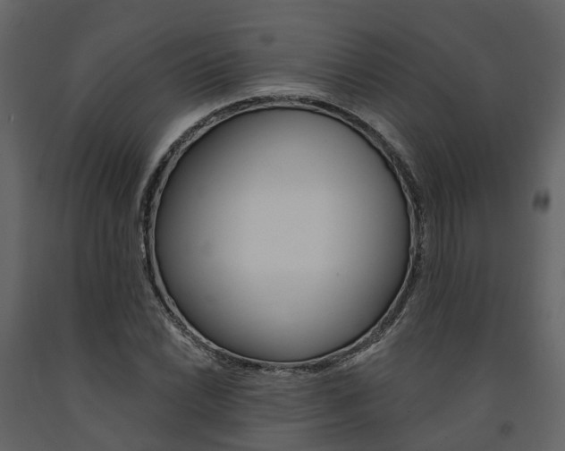 X0000091691022200708231126