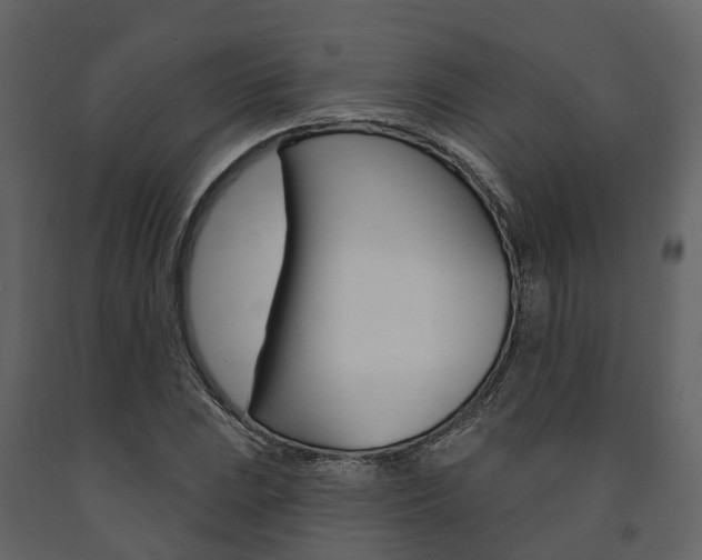 X0000091691023200708231126