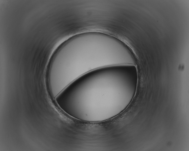 X0000091691024200708231126