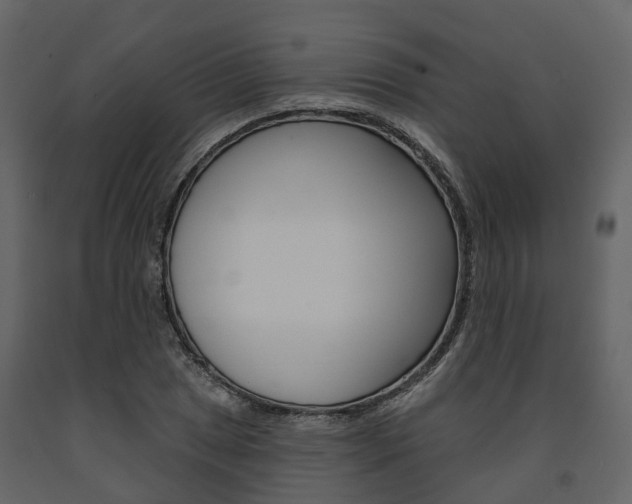 X0000091691025200708231126