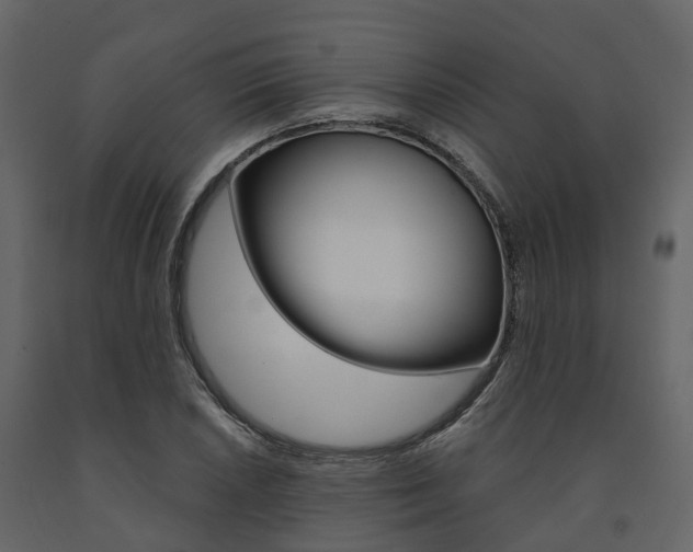X0000091691026200708231126