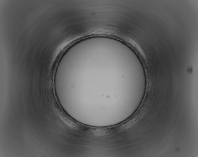 X0000091691027200708231126