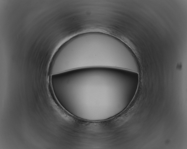 X0000091691028200708231126