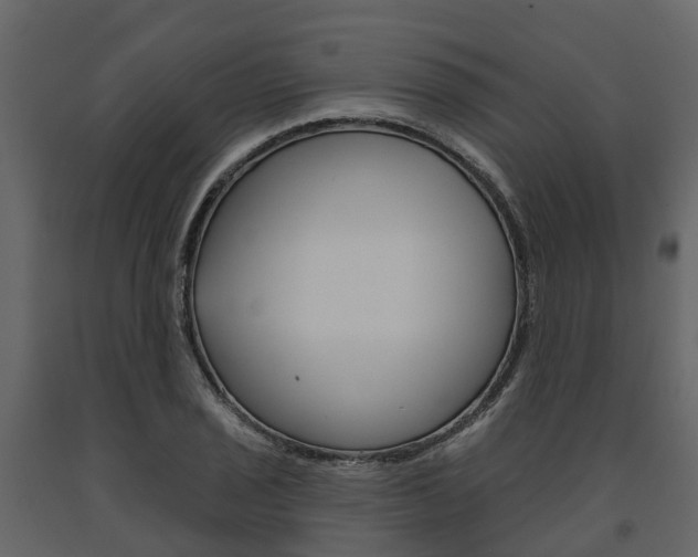 X0000091691029200708231126