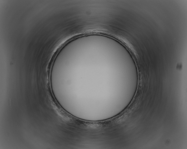 X0000091691031200708231126