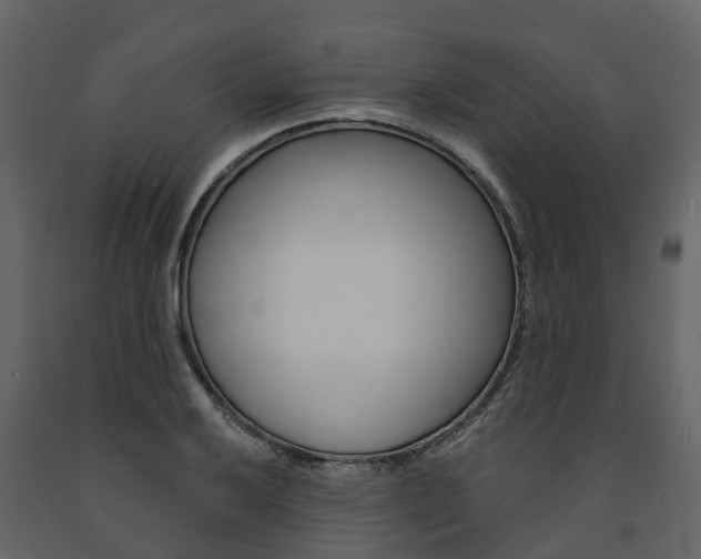 X0000091691032200708231126